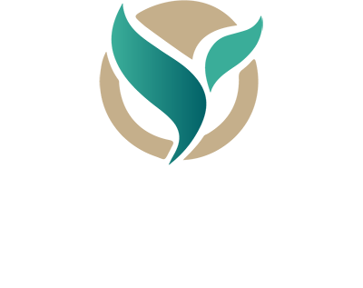 Pedamento Content Strategy